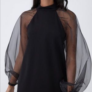 Mini LBD with Organza Sleeves!